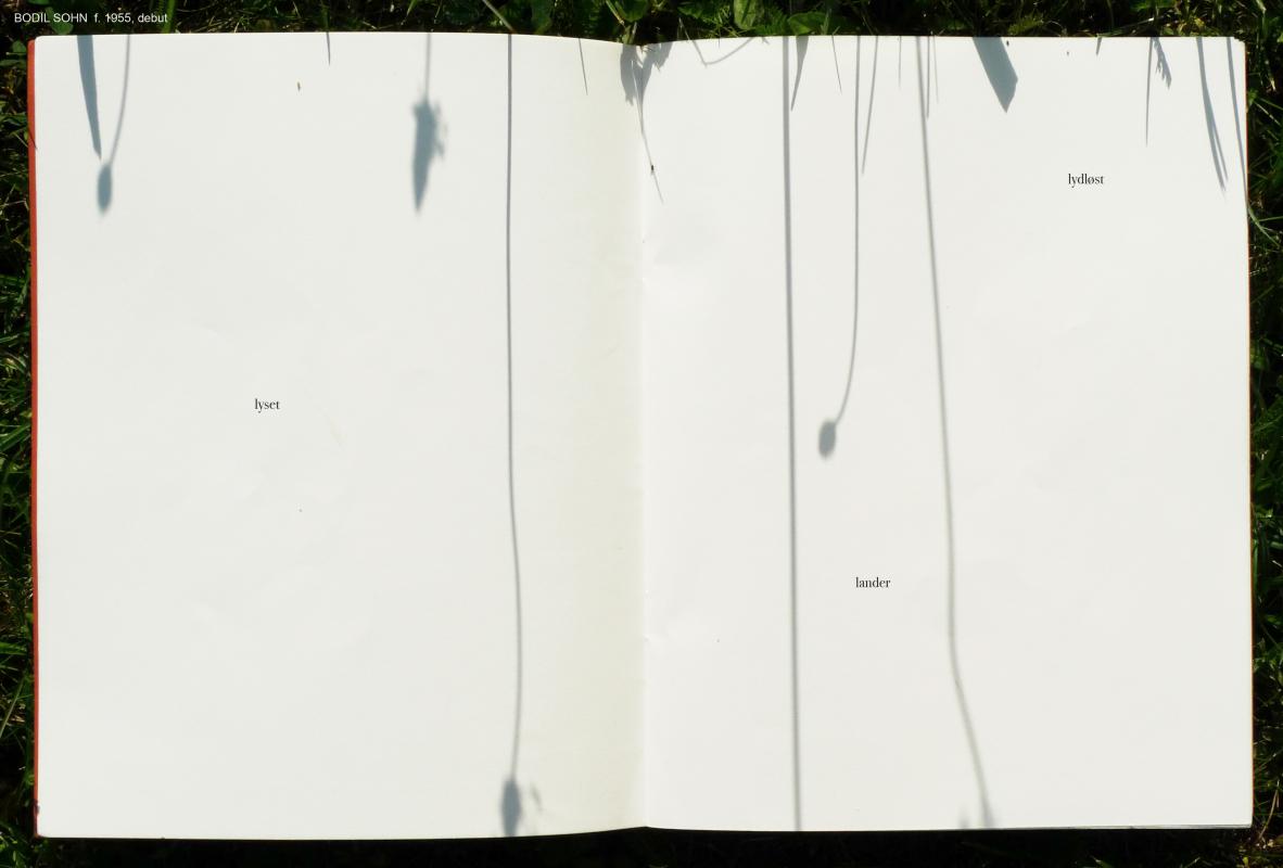 HVEDEKORN. Lys og skygge, opslag 1. 2025