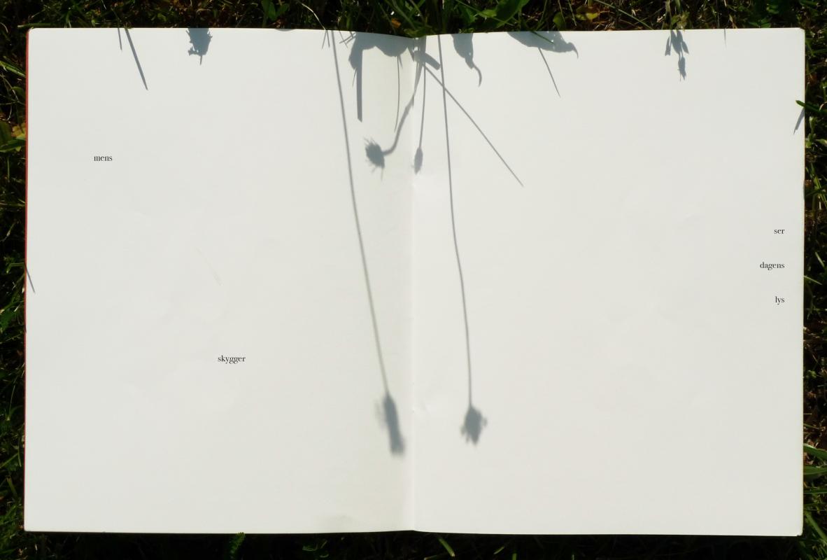 HVEDEKORN. Lys og skygge, opslag 2. 2025