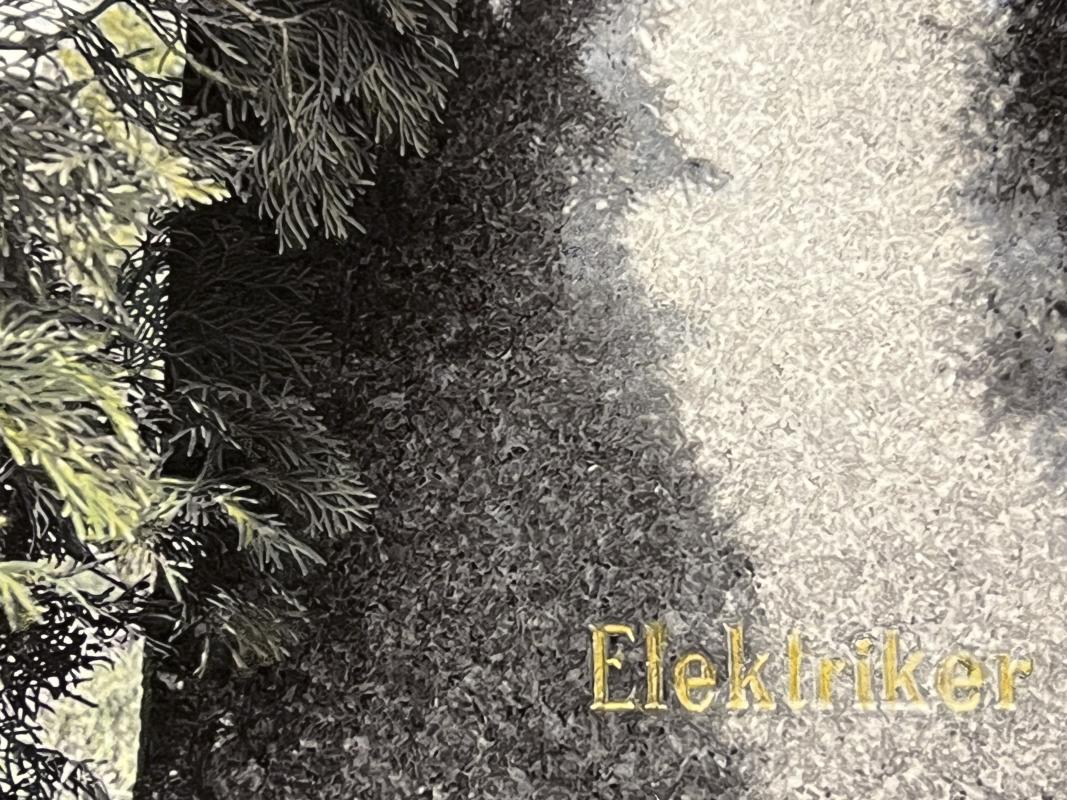 Elektriker. Håndkoloreret s/h digitalt print. 2025. Udsnit