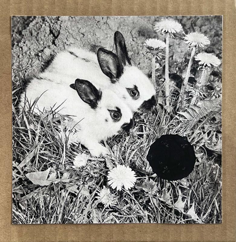 Kartoflerne kommer! 2025. Kartoffeltryk på bogside