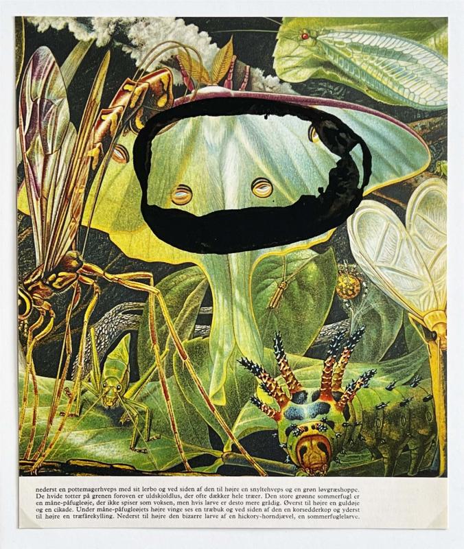 Kartoflerne kommer! 2025. Kartoffeltryk på bogside