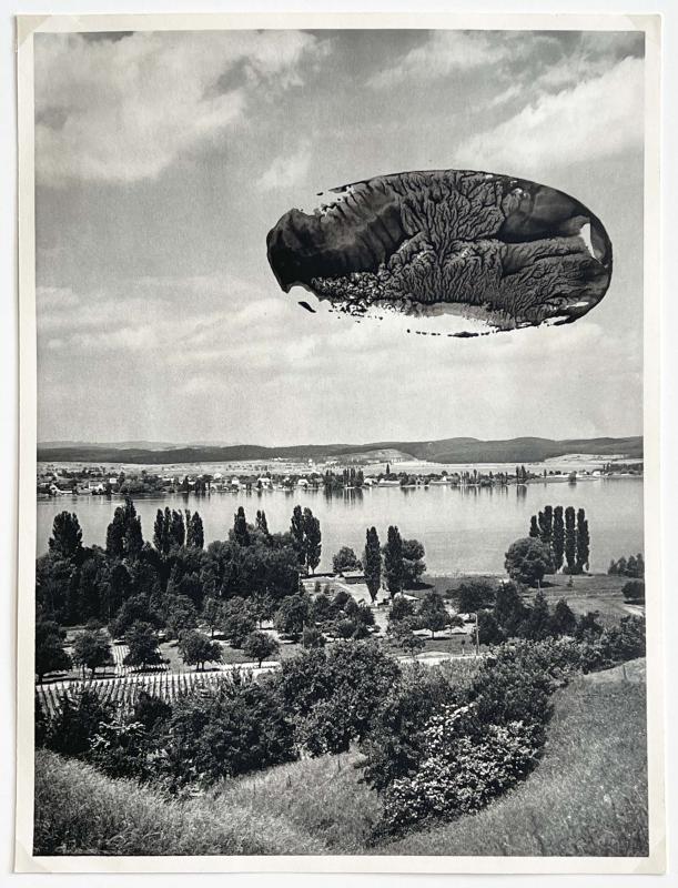 Kartoflerne kommer! 2025. Kartoffeltryk på bogside