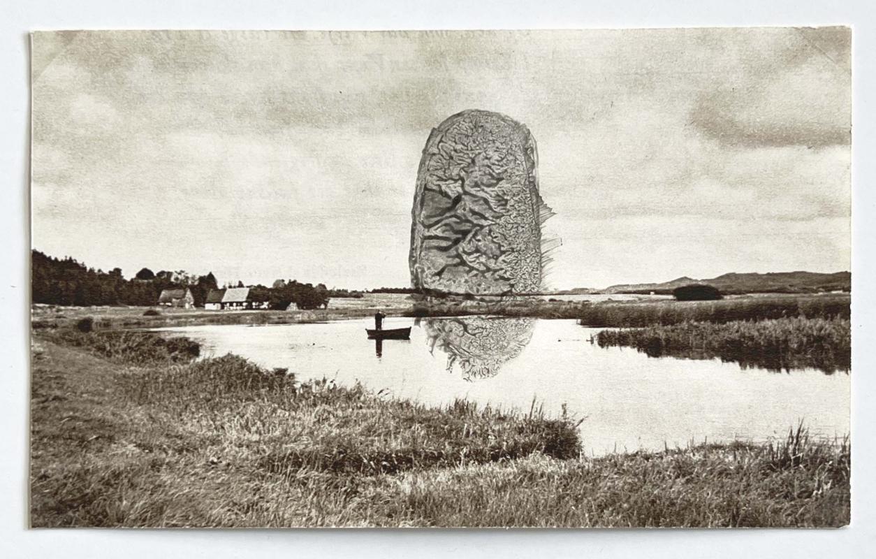 Kartoflerne kommer! 2025. Kartoffeltryk på bogside