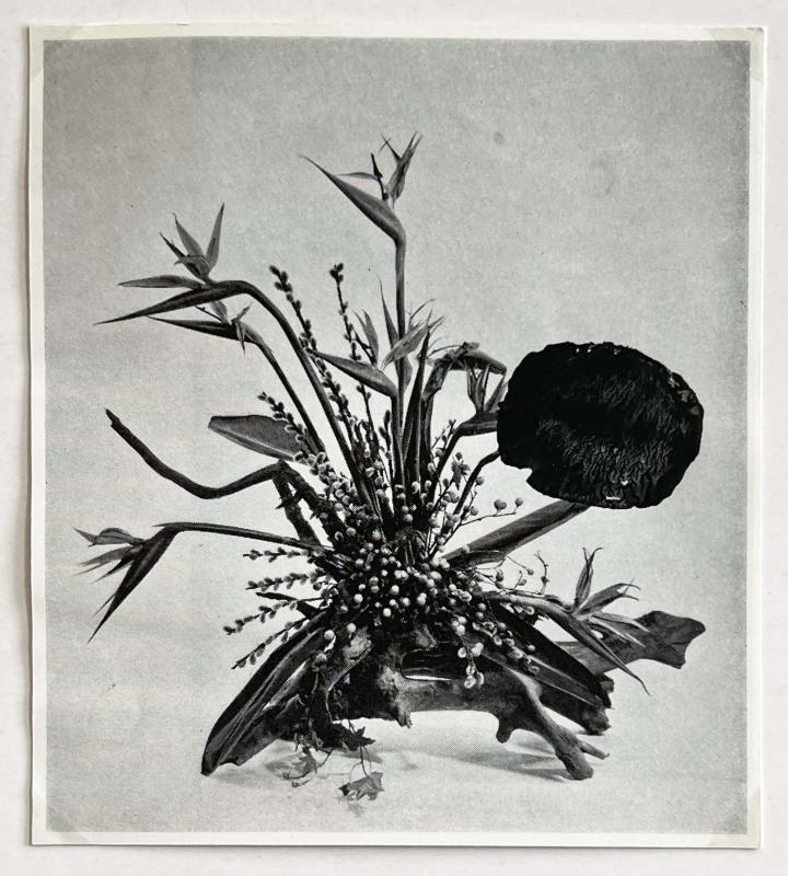 Kartoflerne kommer! 2025. Kartoffeltryk på bogside