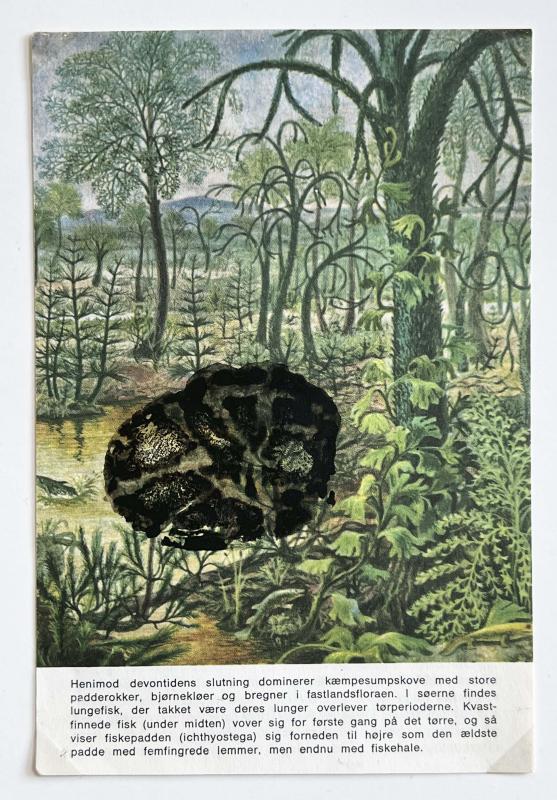 Kartoflerne kommer! 2025. Kartoffeltryk på bogside