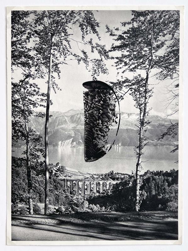 Kartoflerne kommer! 2025. Kartoffeltryk på bogside