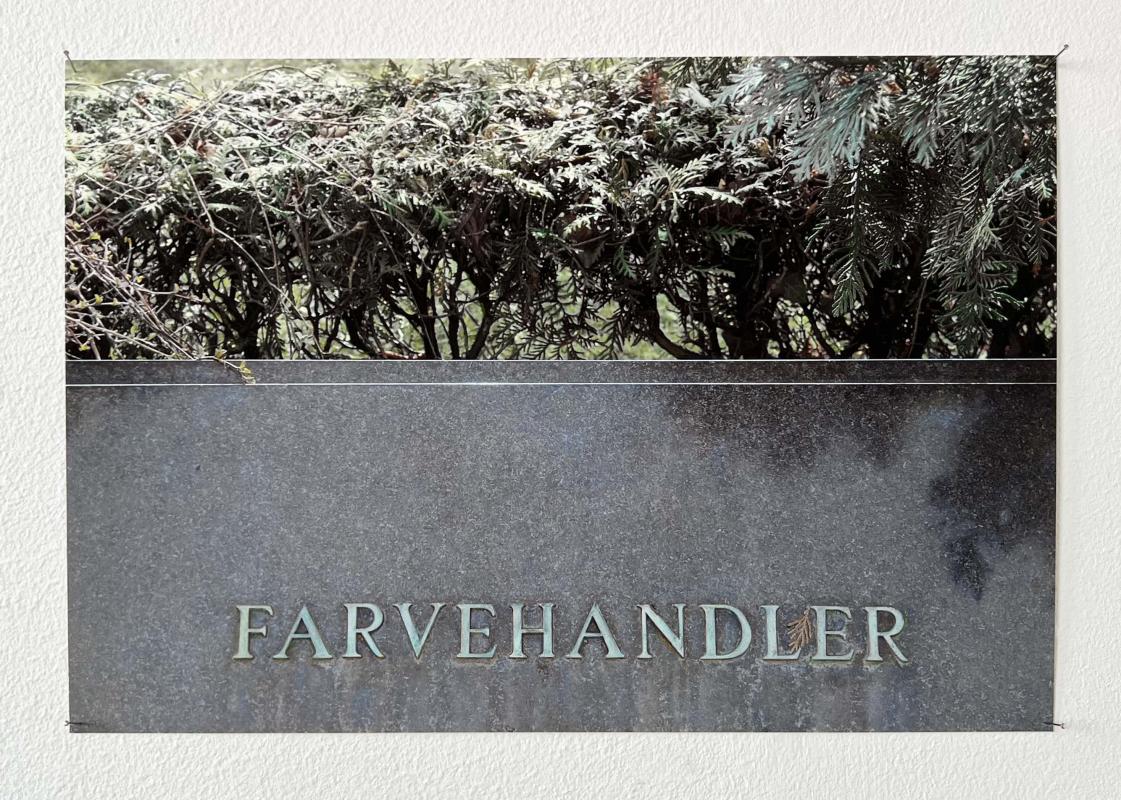 Farvehandler. Håndkoloreret s/h digitalt print. 2025