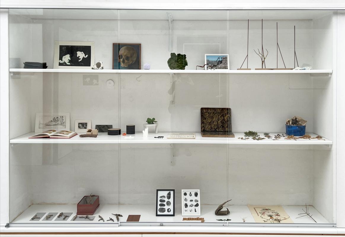 Wunderkammer. Bodil Sohn